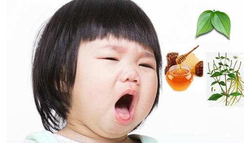 Kết quả hình ảnh cho Công dụng chữa bệnh của lá trầu không