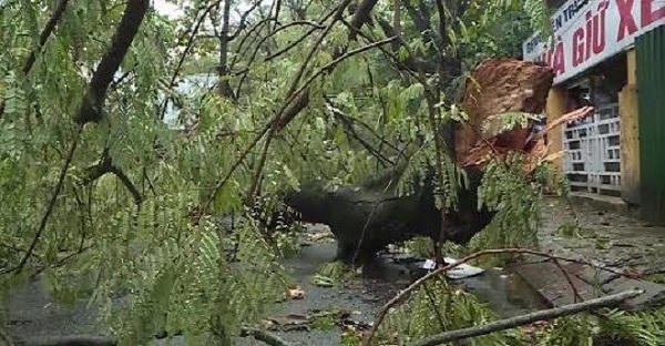 Mưa lũ miền Trung: 4 người chết và mất tích, hàng trăm ngôi nhà tốc mái