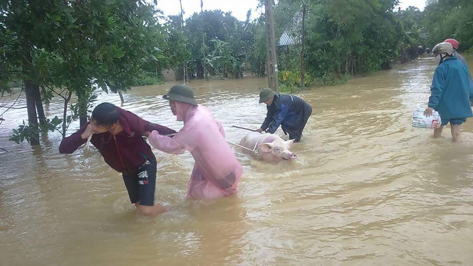 Nghẹn lòng cảnh người miền Trung chống chọi lũ dữ
