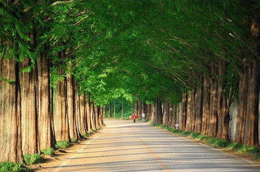 Các con đường mùa thu lãng mạn vòng quanh thế giới