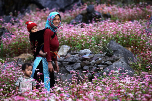 Những điểm du lịch đầy ấn tượng cuối thu 