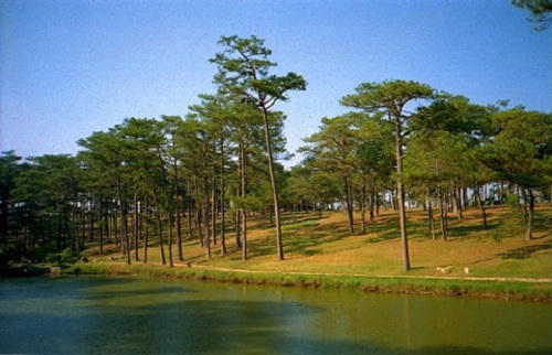 Ngọn đồi hai mộ khiến khách tham quan phải e dè