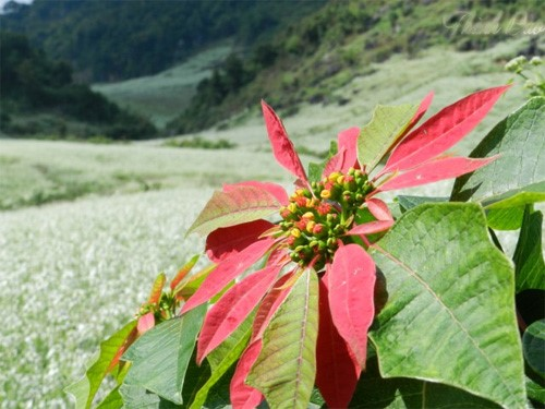 Tháng 11 này nên đến đâu du lịch?