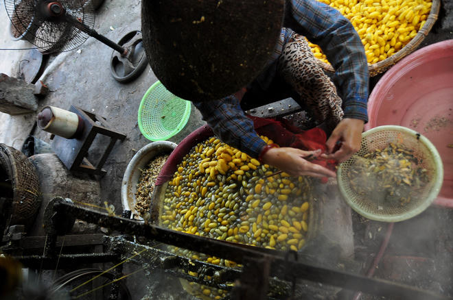 Về Nam Định ghé thăm làng nghề tơ tằm Cổ Chất 