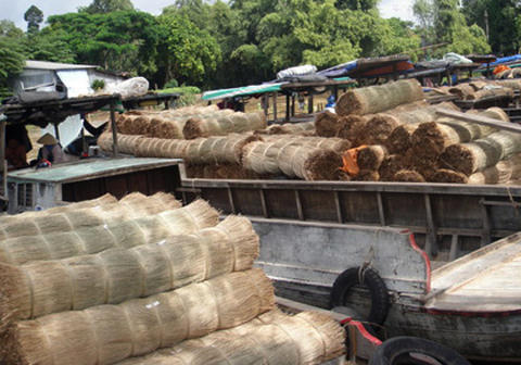 Về thăm làng chiếu Định Yên 