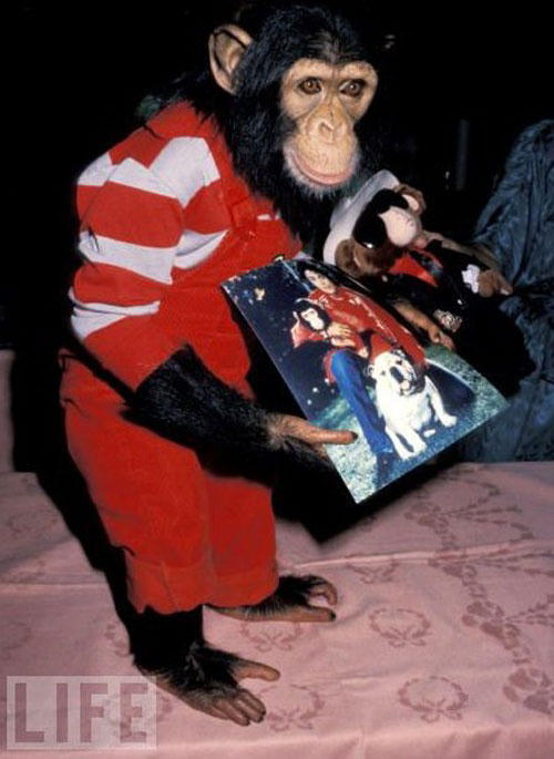 Những khoảnh khắc đáng nhớ trong đời Michael Jackson