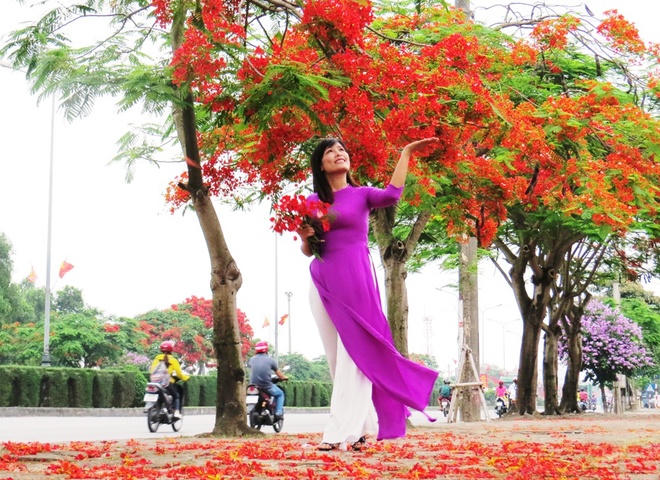 Hòa mình với những con đường hoa tuyệt đẹp ở Việt Nam