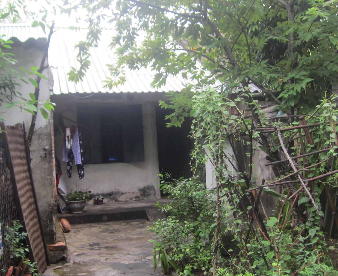 Nửa thế kỷ sắt son nhang khói cho người chồng chưa cưới