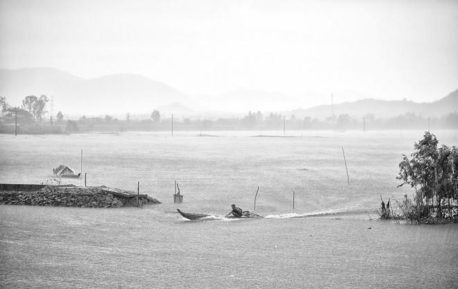 Miền Tây tuyệt đẹp trong triển lãm ảnh mùa nước nổi