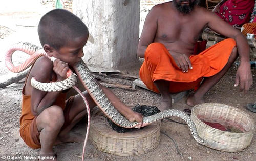 Chuyện về ngôi làng trẻ em chơi với rắn nhiều hơn chơi đồ chơi