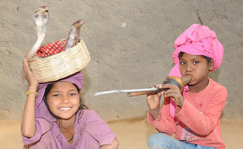 Chuyện về ngôi làng trẻ em chơi với rắn nhiều hơn chơi đồ chơi