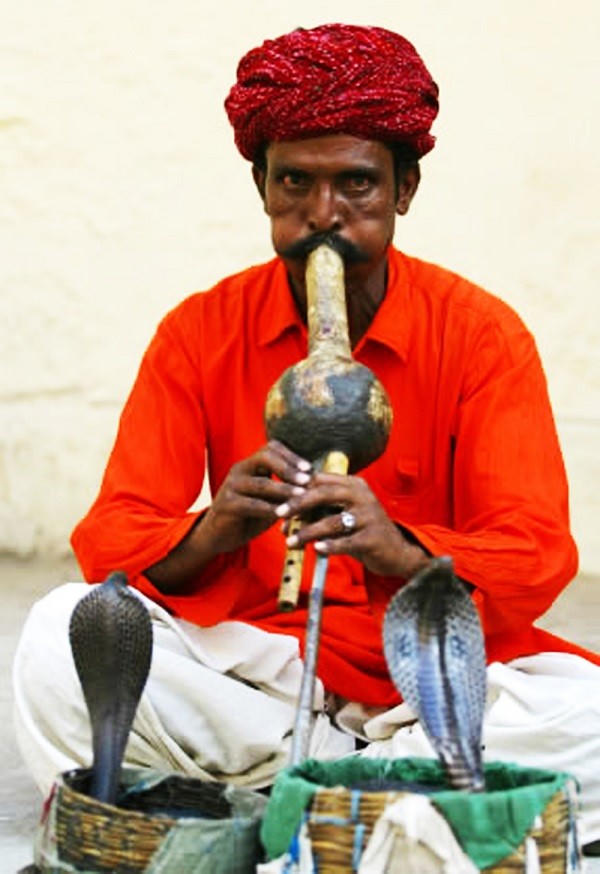 Chuyện về ngôi làng trẻ em chơi với rắn nhiều hơn chơi đồ chơi