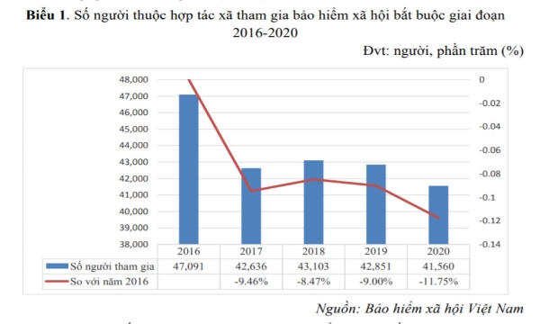 Chú trọng phát triển bảo hiểm xã hội với lao động tại các hợp tác xã