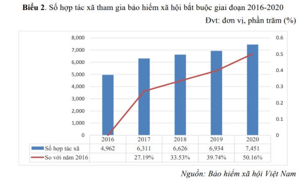 Chú trọng phát triển bảo hiểm xã hội với lao động tại các hợp tác xã