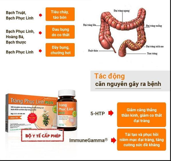 Thực phẩm bảo vệ sức khỏe Tràng Phục Linh PLUS - Sản phẩm hiệu quả cho người bị Đại tràng lâu năm