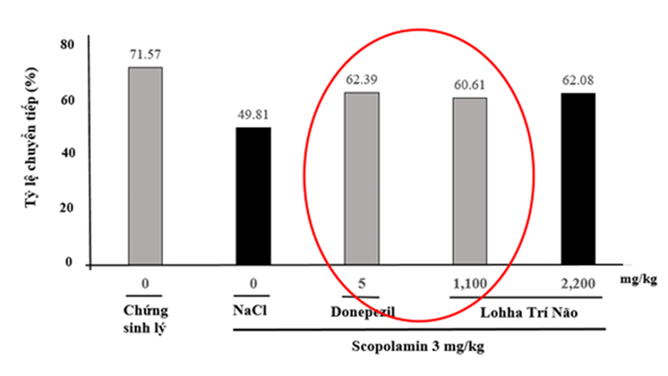 Nghiên cứu của PGS - Tiến sĩ Đại học Dược chứng minh hiệu quả của Lohha Trí Não
