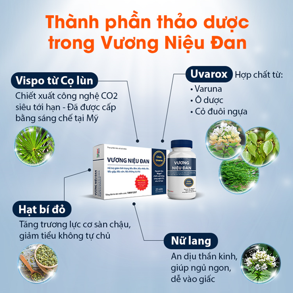 Kiểm chứng chất lượng thực phẩm bảo vệ sức khỏe Vương Niệu Đan cải thiện tiểu đêm, tiểu nhiều