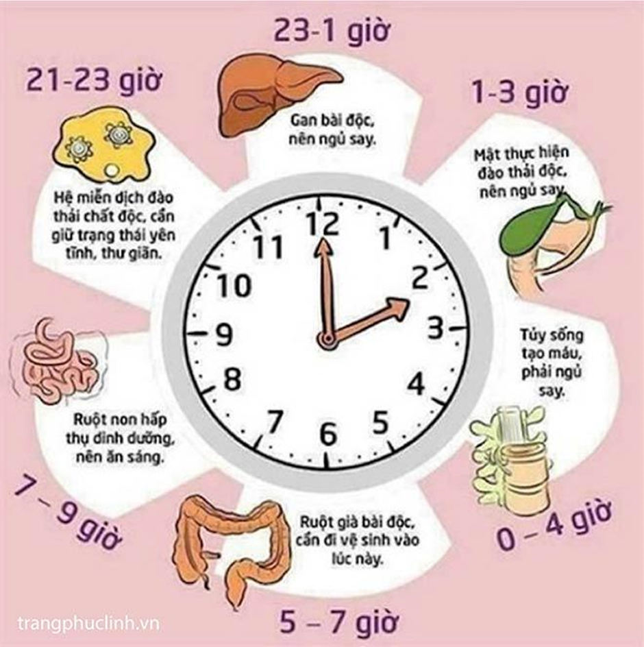 Bí quyết vàng giúp đẩy lùi chứng cứ ăn sáng xong là đau bụng 