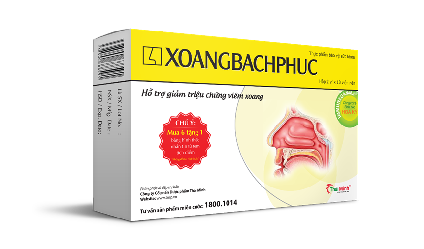 Kinh giới tuệ - Vị thuốc giúp giải mẫn cảm, ngăn ngừa viêm xoang, viêm mũi tái phát.
