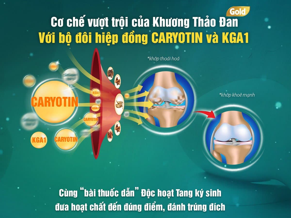 Đột phá mới từ thực phẩm bảo vệ sức khỏe Viên xương khớp Khương Thảo Đan GOLD 