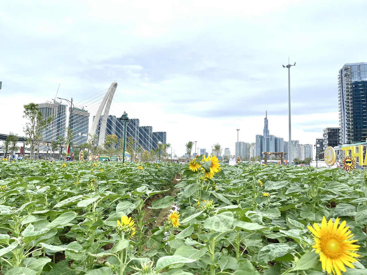 Tưng bừng lễ khánh thành Công viên bờ sông Sài Gòn