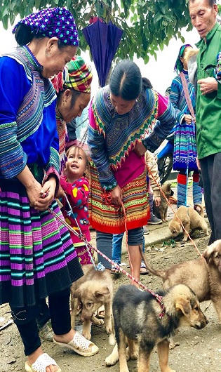 Màu sắc chợ phiên