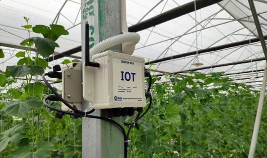 VNPT tăng trưởng lợi nhuận trên 20% 5 năm liên tiếp