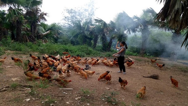 Khẳng định hiệu quả tín dụng chính sách xã hội ở Tuyên Hóa 