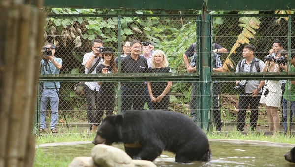 Diễn viên Mỹ gốc Việt Maggie Q đặt tên cho một chú gấu