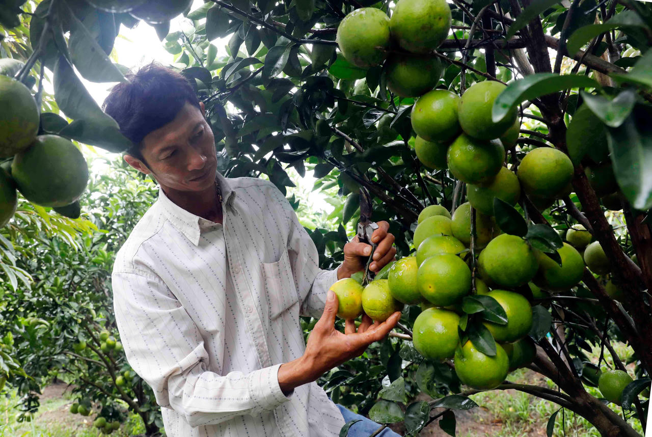 Ban Bí thư nêu nhiều giải pháp để tăng cường hiệu quả giảm nghèo bền vững 
