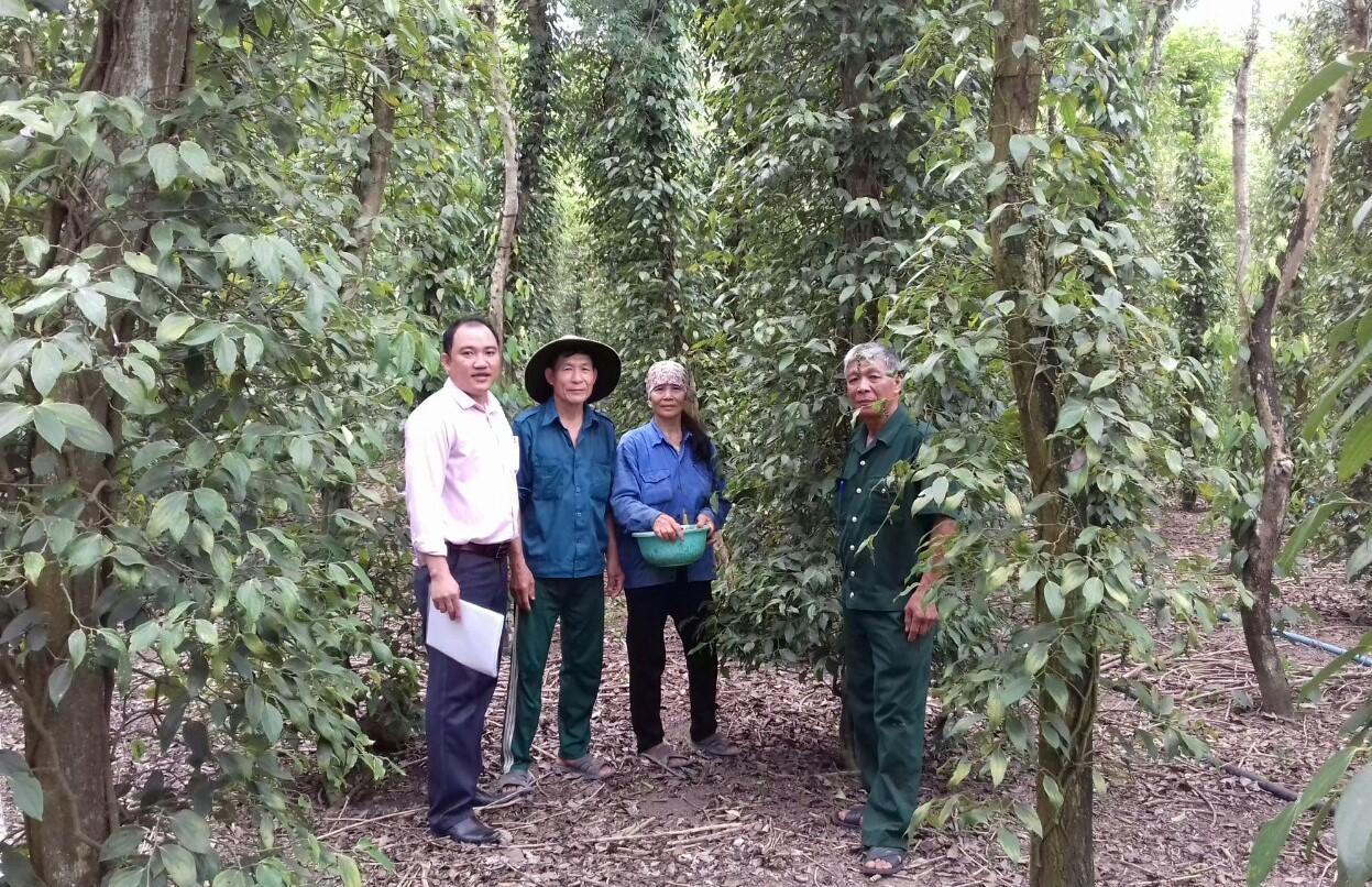 Vốn chính sách thức dậy miền quê khó