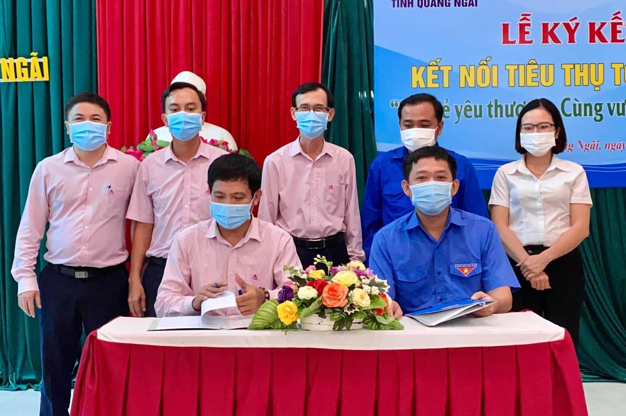 Ngân hàng Chính sách xã hội Quảng Ngãi hỗ trợ tiêu thụ tỏi Lý Sơn