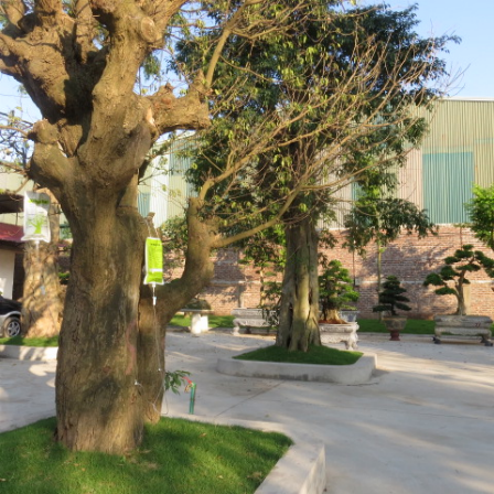 11 “siêu tài sản” của trùm xã hội đen đất Kinh Bắc