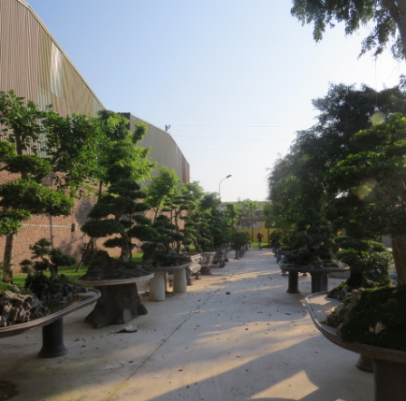 11 “siêu tài sản” của trùm xã hội đen đất Kinh Bắc