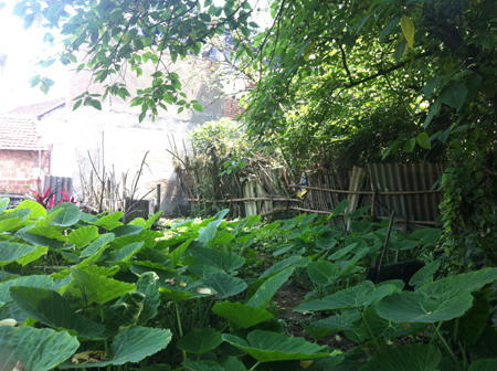 “Cơ quan công an cần vào cuộc làm rõ dấu hiệu sai phạm tại phường Đại Mỗ“