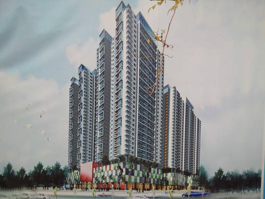 Cỏ dại mọc đầy trong dự án chung cư của bà Châu Thị Thu Nga