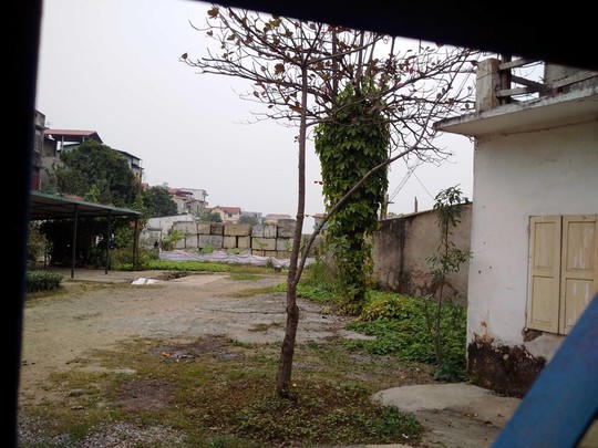 Cỏ dại mọc đầy trong dự án chung cư của bà Châu Thị Thu Nga