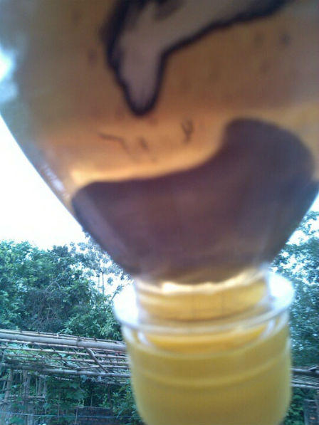 Phát hiện vật thể lạ trong chai nước C2 chưa mở nắp