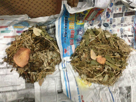 Thực hư “thần y phố núi” nhận chữa được bách bệnh chỉ với 20 nghìn đồng?