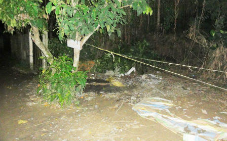 Chê chồng không biết nhậu, vợ mất mạng