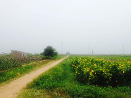 Hà Nội: Truy sát nhân tình rồi tự tử chỉ vì bị xù nợ 20 triệu đồng?