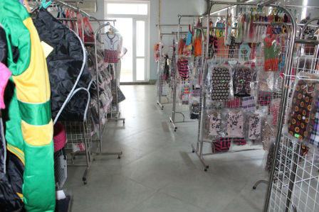 Đầu tư cả trăm triệu để lập “di ảnh”, làm “hộ chiếu” cho thú cưng