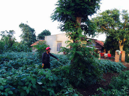 Thiếu nữ “dễ dãi” qua đêm trên thùng xe bị nhiều trai làng hiếp dâm?