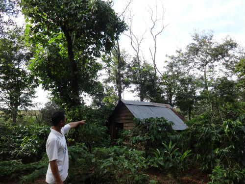 Dâng người yêu làm “mồi ngon” cho đám bạn “yêu râu xanh” hãm hiếp