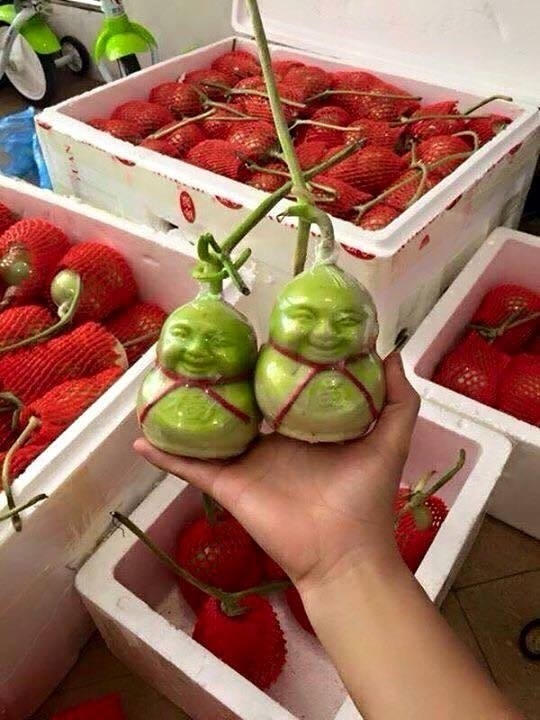 Dưa lê thần tài Trung quốc: Chỉ dám cúng, không dám ăn