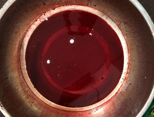 Heo nái 'biến' thành thịt bò nhờ hóa chất