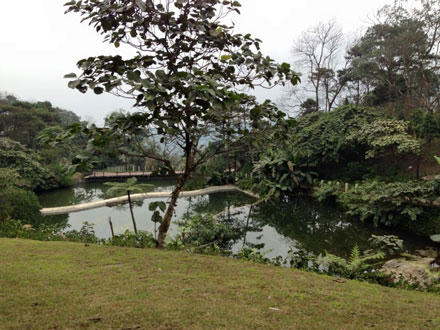 Cận cảnh resort xây không phép ngang nhiên tại Vườn Quốc gia Ba Vì