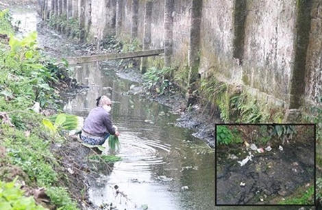 Kinh hoàng: Bịt khẩu trang rửa rau ở rãnh nước thải đầy phân