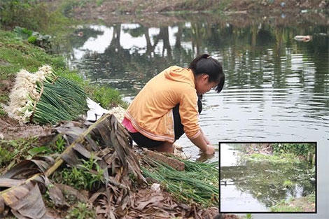 Kinh hoàng: Bịt khẩu trang rửa rau ở rãnh nước thải đầy phân