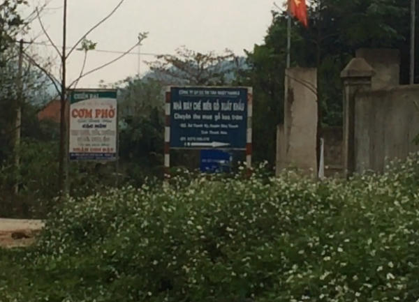 Thanh Hóa: Xưởng sản xuất gỗ dăm trái phép mọc như nấm, UBND tỉnh vào cuộc